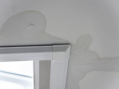 About Tuckahoe VA Mold Removal Pros - mold removal experts in Tuckahoe